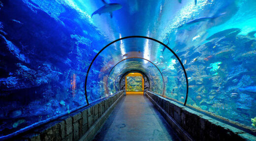Shark Reef Aquarium Mandalay Hotel, Las Vegas